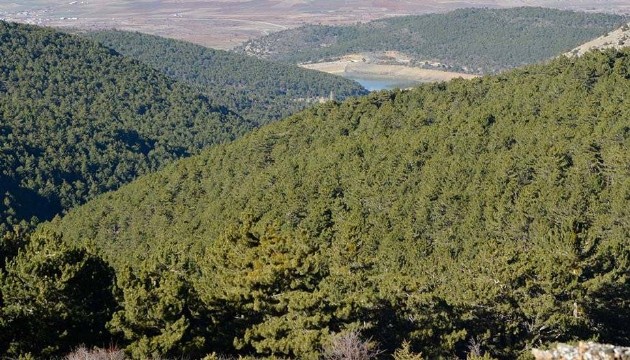Valilik geniş önlem aldı: Ormanlık alanlara girişler yasaklandı